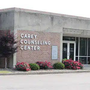 Carey Counseling Center Inc - Preview