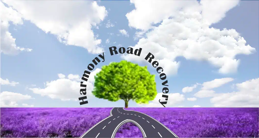 Harmony Road Recovery LLC - Preview